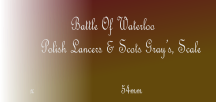 Battle Of Waterloo     Polish Lancers & Scots Grays, Scale   x                            54mm